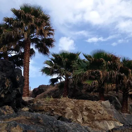 La Concha Seaview Apartament