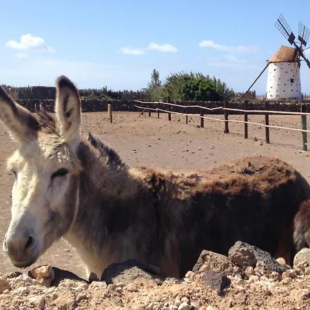 Apartament La Concha Seaview
