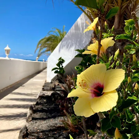 La Concha Seaview Apartamento *