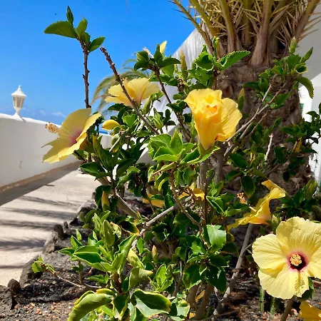 La Concha Seaview Direct At The & Sea Cotillo